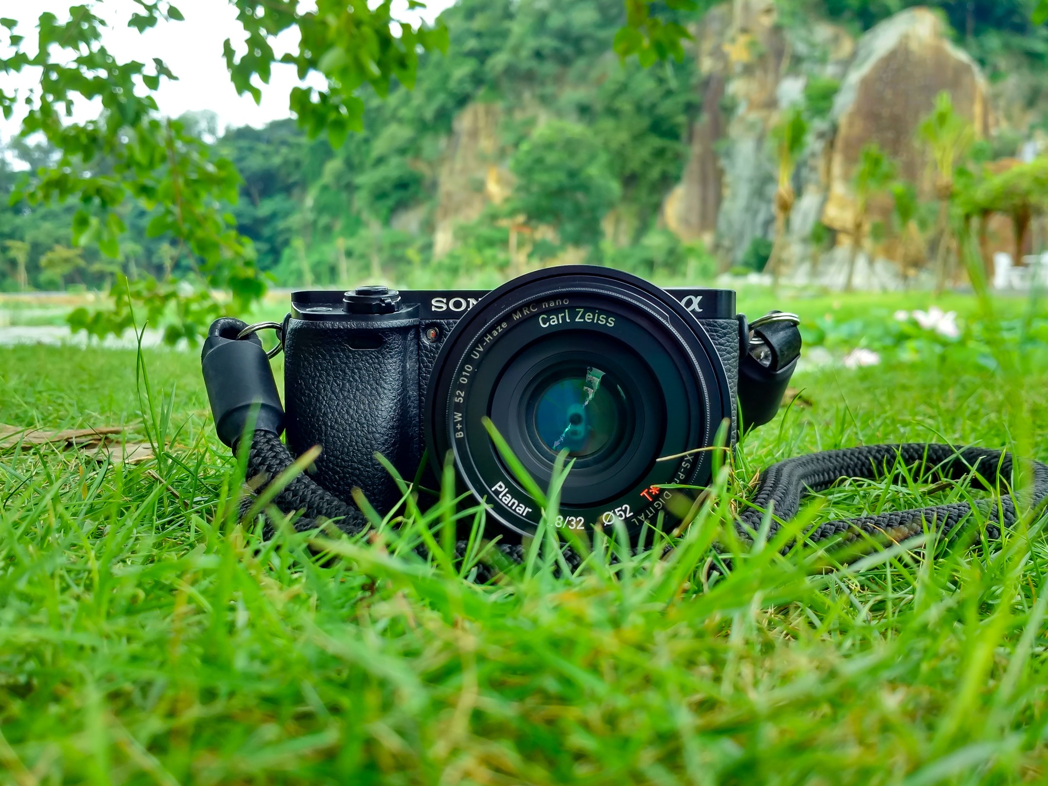 Wildlife Photography Tips: Shooting Wildlife on a Cloudy Day