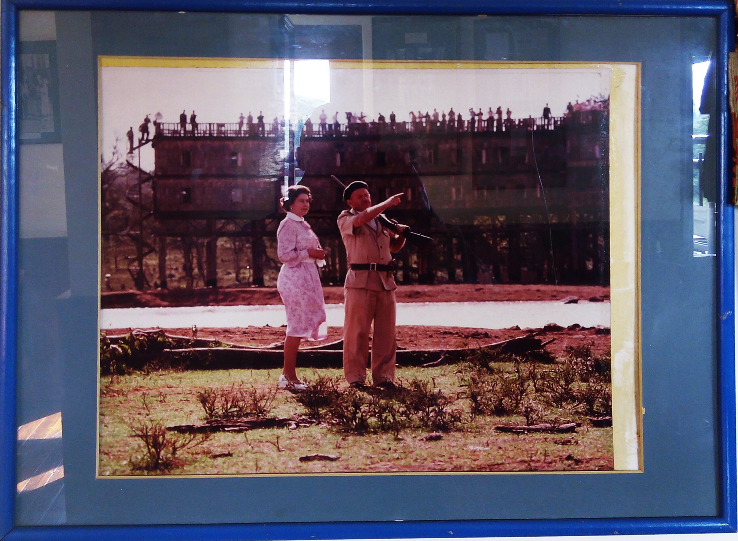 Legendary Treetops Hotel – A Princess’s Turning Point
