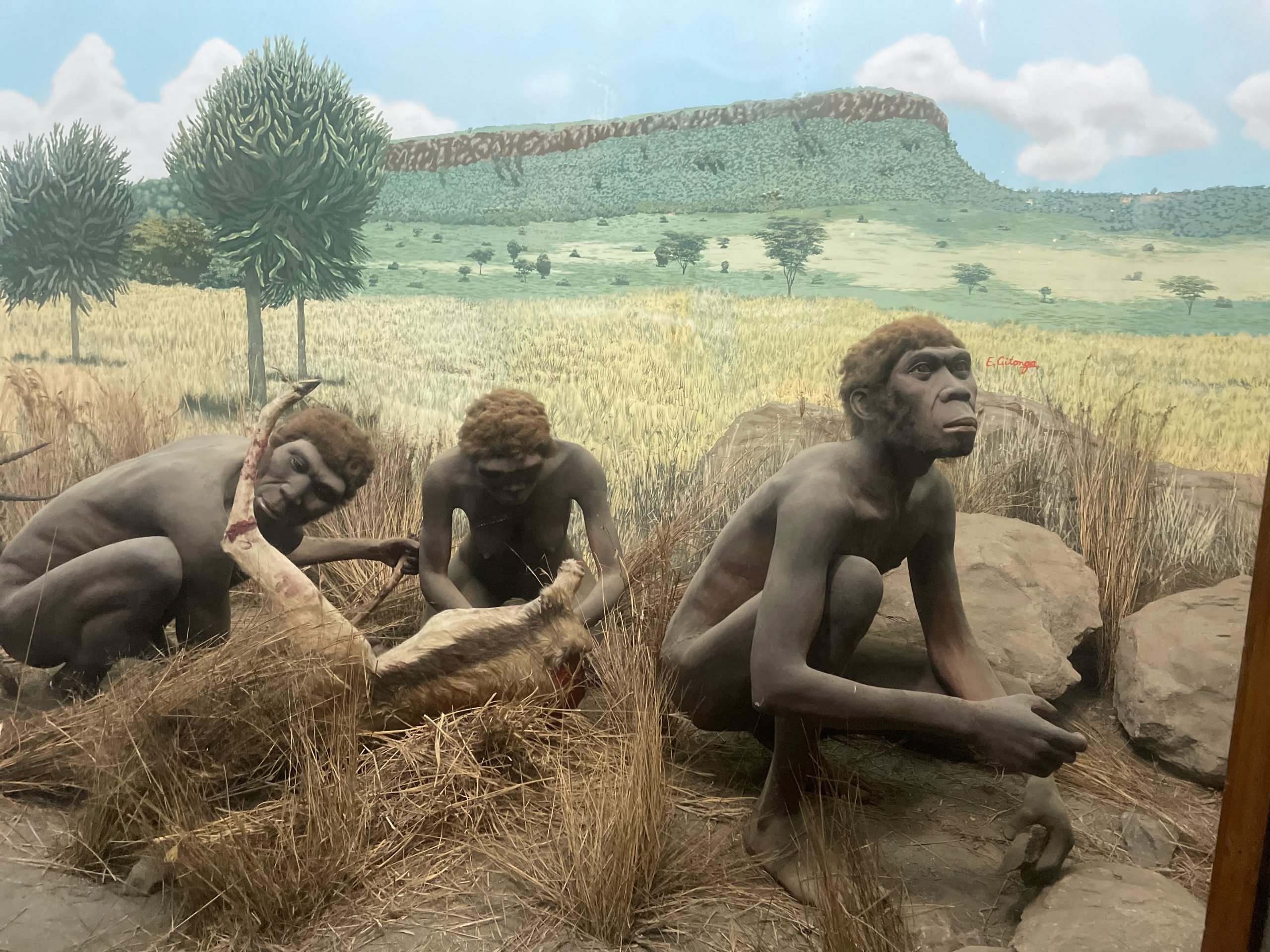 Unveiling Kenya’s Time Capsule: A Journey with Our Ancestors #LetsGo