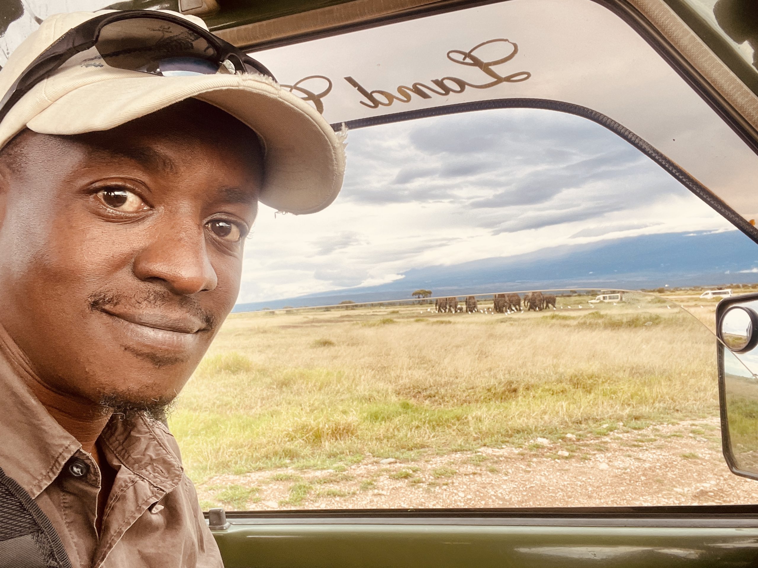 An Evening with Africa’s Largest Land Mammal