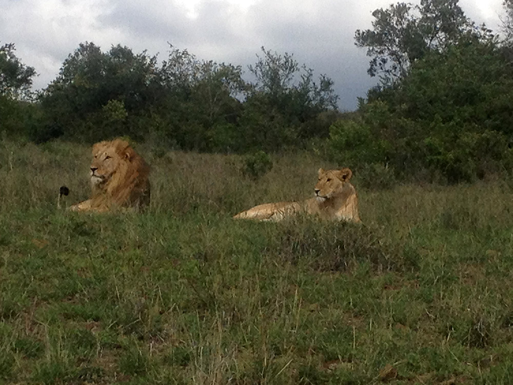 Laikipia