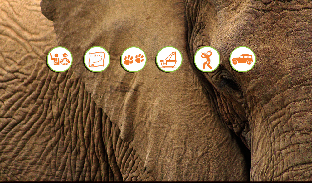 Safari_Sense_kili_to_mara