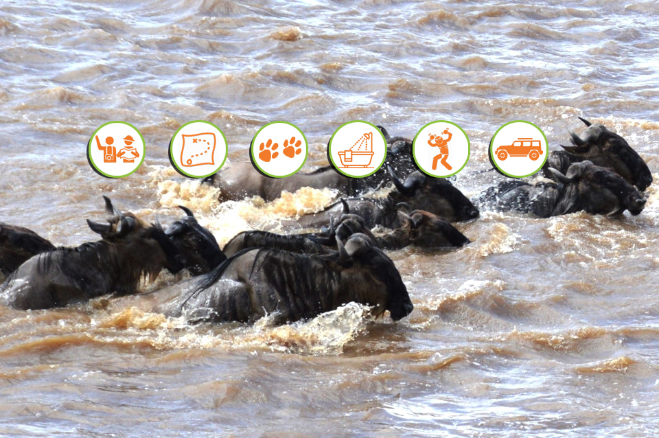 Safari sense Kenya Offer Itinerary simba migration
