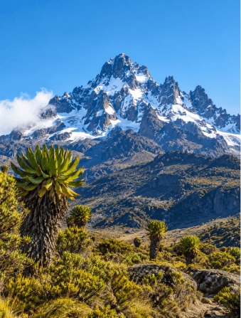 Mount Kenya National Park