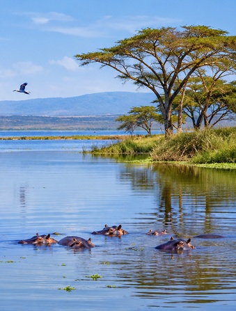 Lake Naivasha