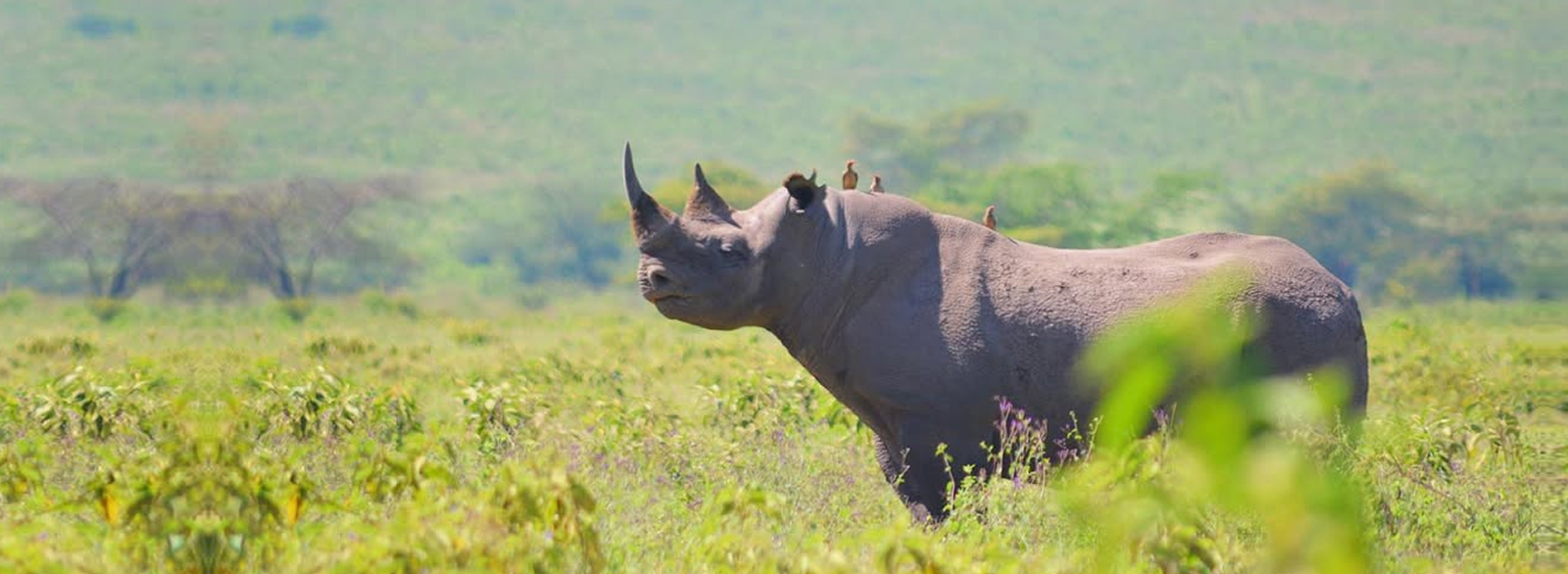 travelkenya