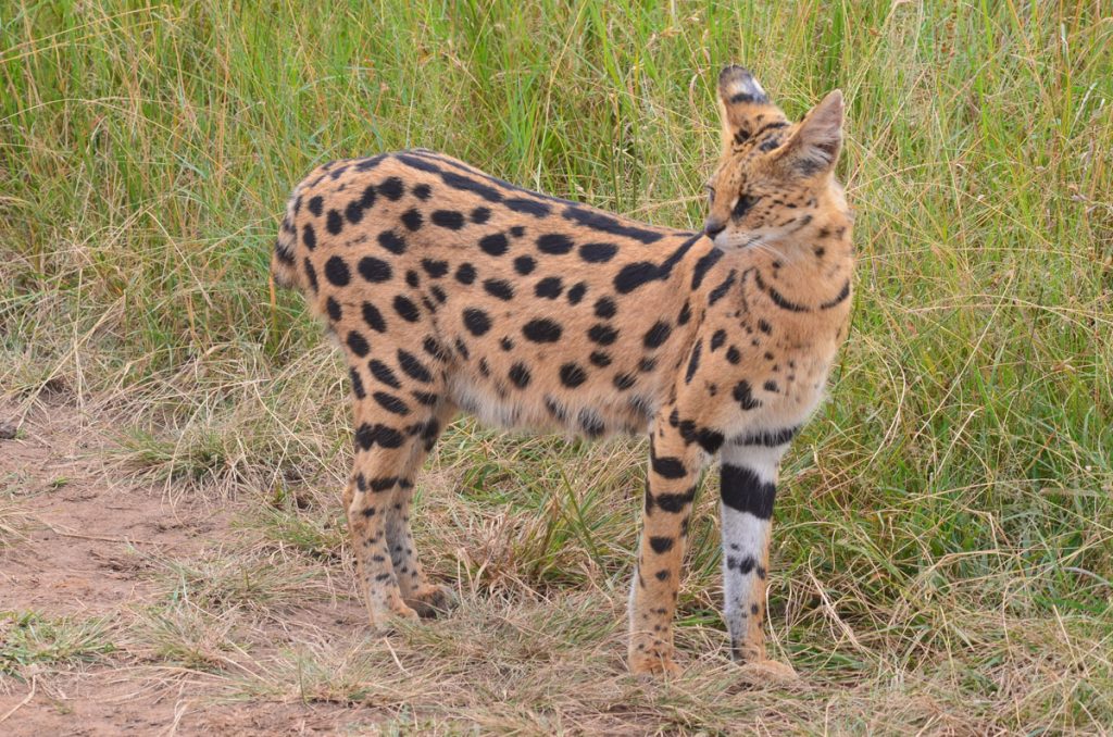 DSC_0845_1 DSC_0845_1