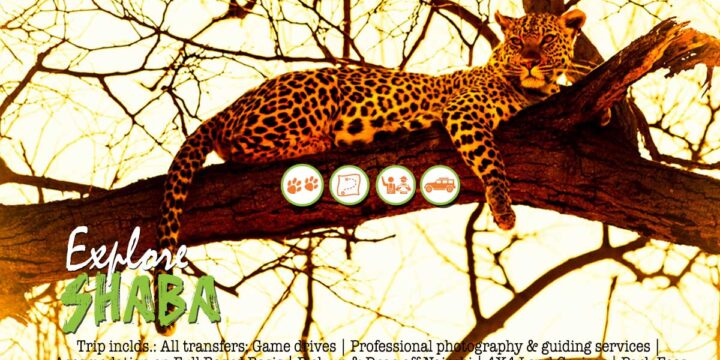 Explore Shaba: 3 Days/ 2 Nights Safari Itinerary – March Departures