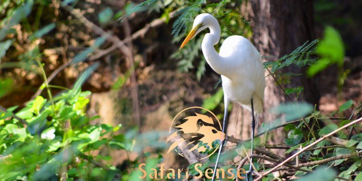 World Wetlands Day 2023 – “It’s Time for Wetlands Restoration”