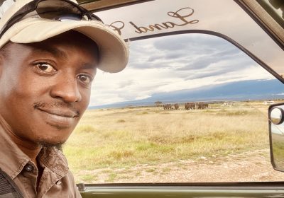 An Evening with Africa’s Largest Land Mammal