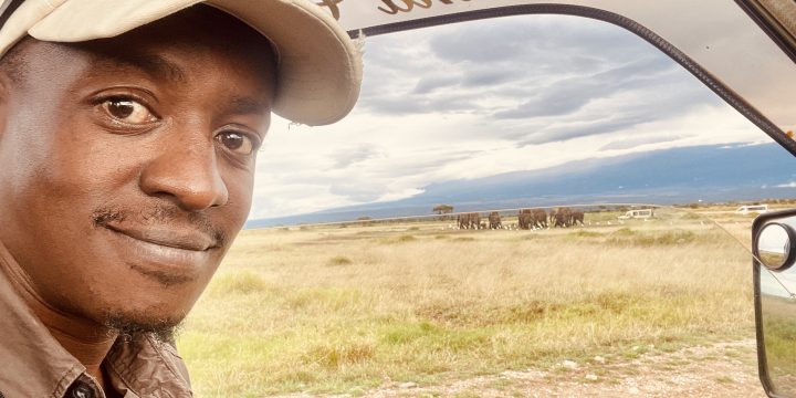 An Evening with Africa’s Largest Land Mammal