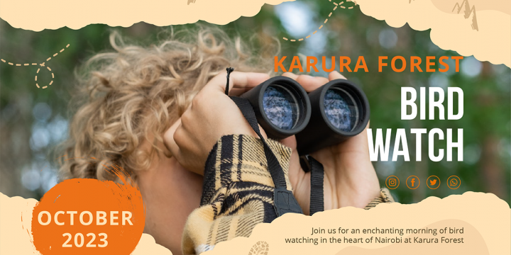 Birdnificent©: Karura Forest Bird Watching